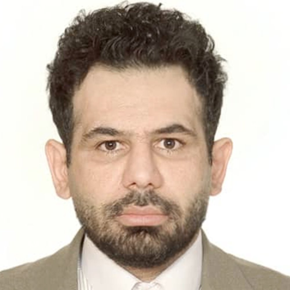 Prof. Mehdi Mehrpooya