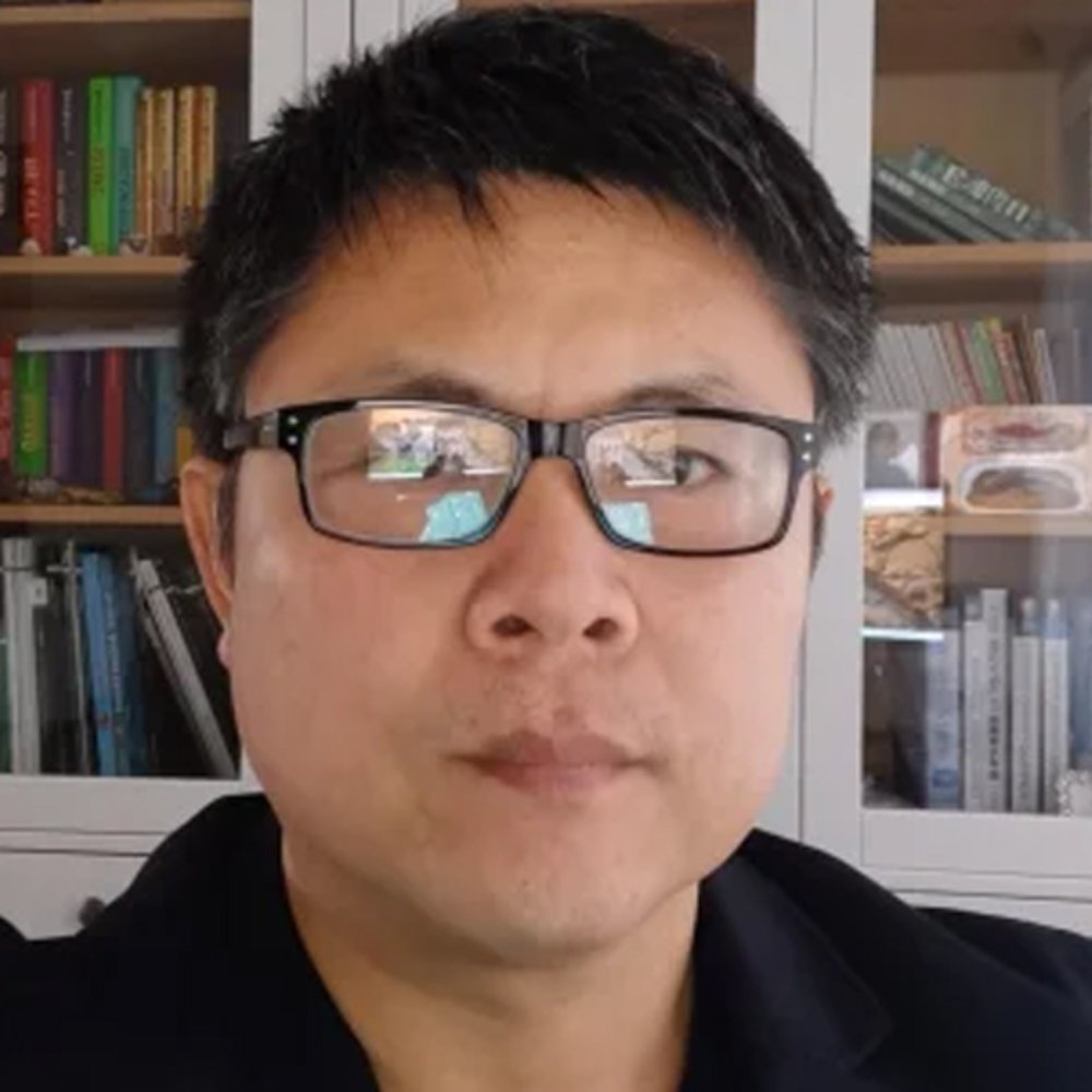 Prof. Hongwei Wu