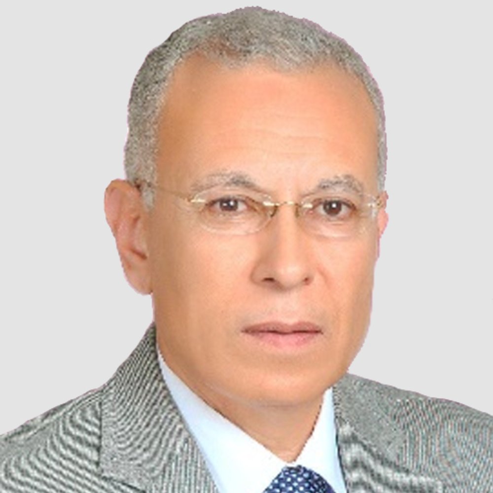 Prof. Nabil Elminshawy