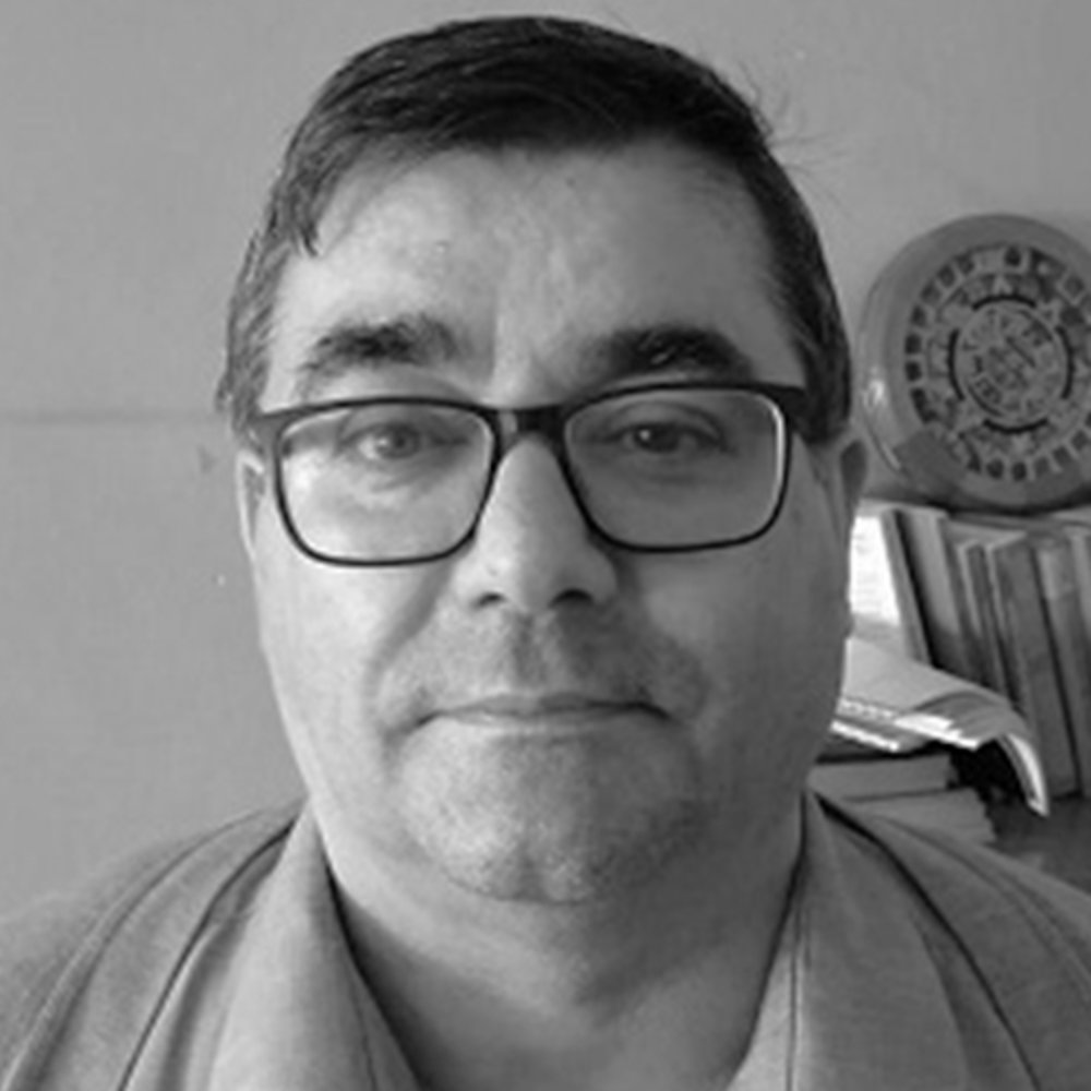 Prof. Jaime Roset Calzada