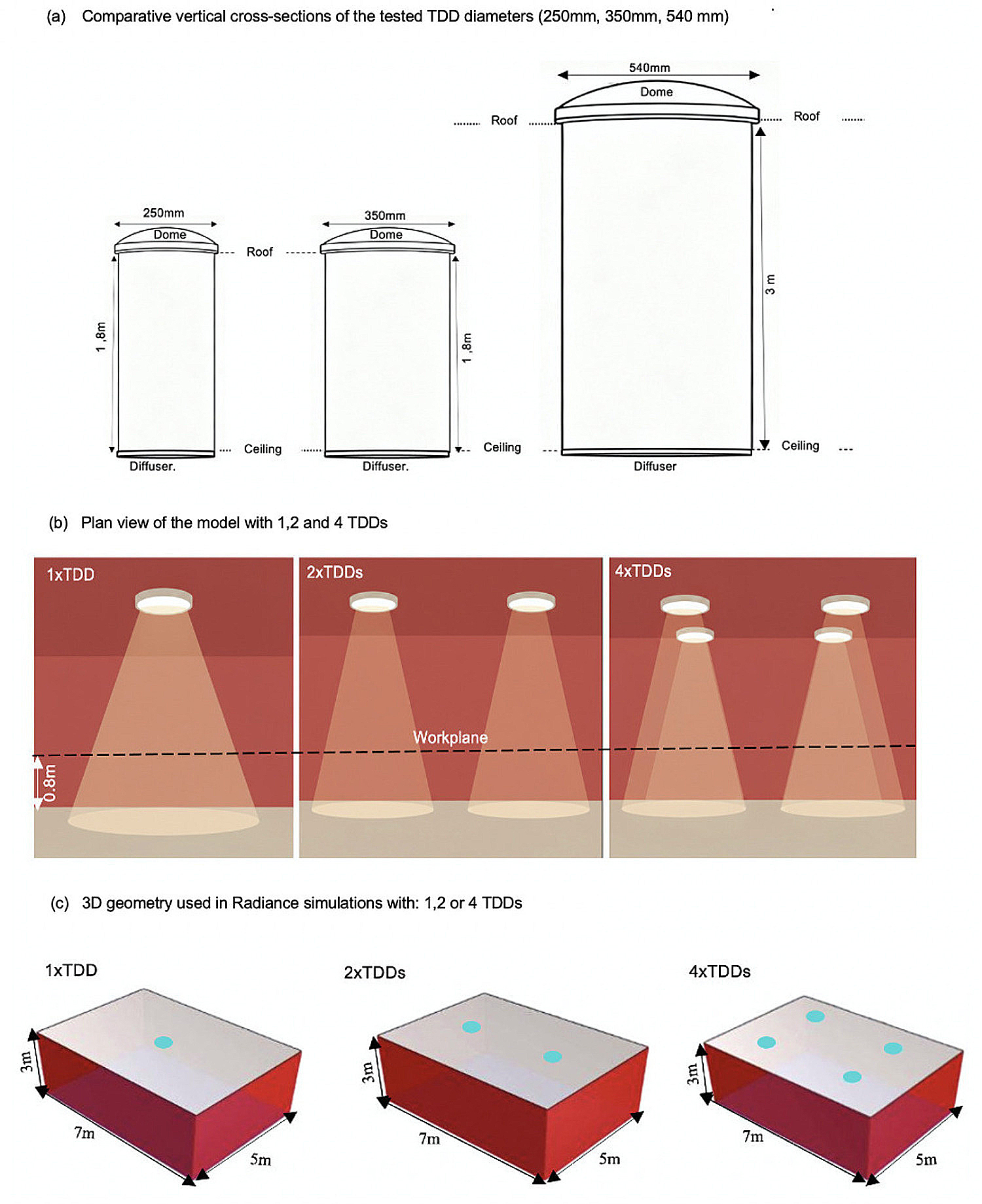 Comparative section of three TDD diameters (250 mm, 350 mm, 550 mm). (b) Plan view of the model with 1, 2 and 4 TDDs. (c) 3D geometry used in Radiance simulations with: 1,2 or 4TDDs.