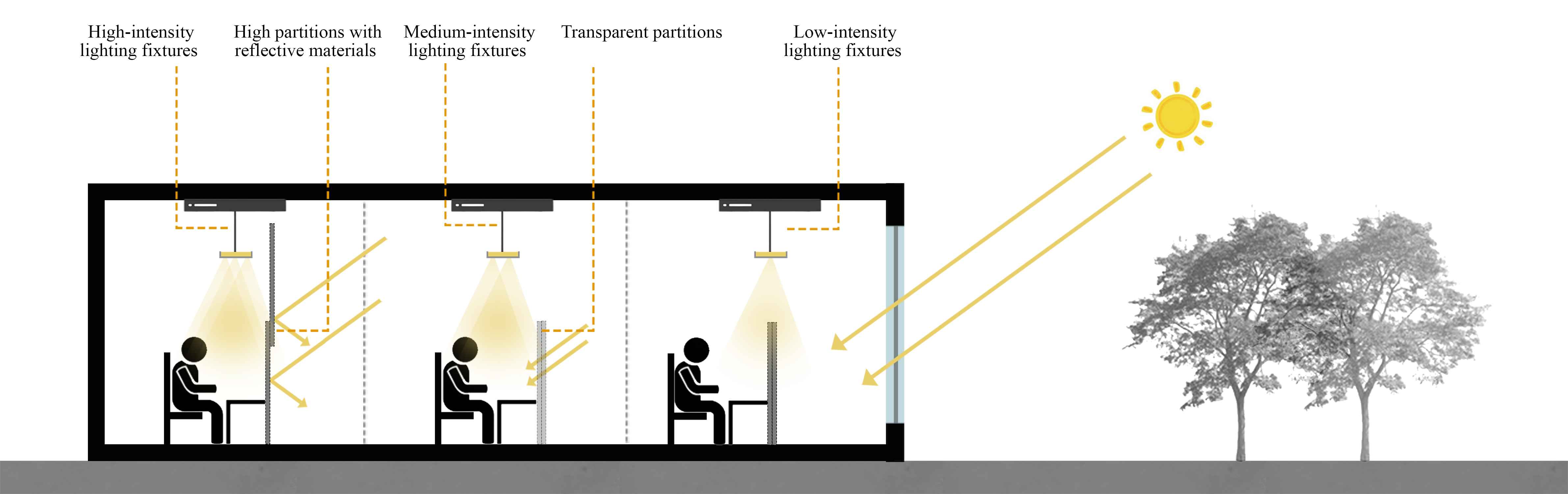 Daylight minimizes artificial lighting needs. Partition options range from closed to open, balancing privacy, light distribution, and visual comfort. Transparent partitions improve light transmission, while full-height reflective partitions diffuse light and offer privacy.