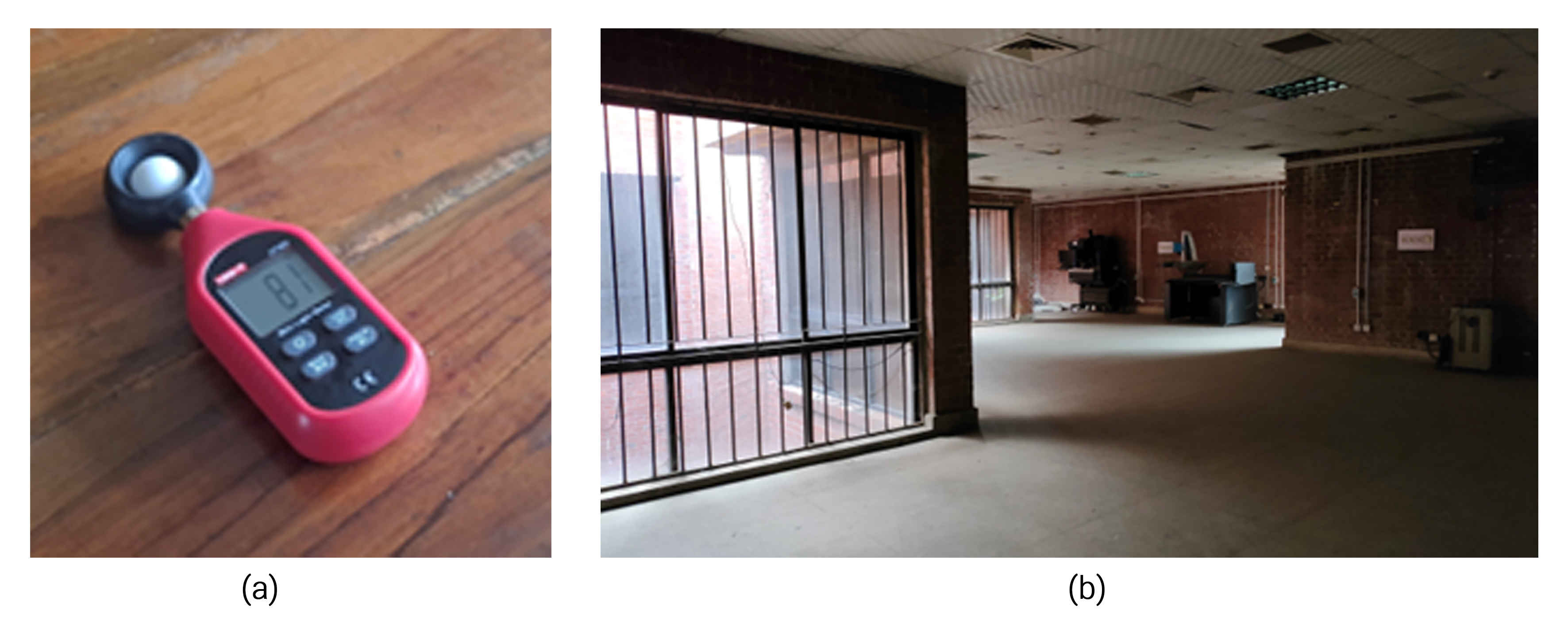 Field-measurement context and case-space condition: (a) UNI-T UT383 mini light meter used for illuminance measurement; and (b) The existing newspaper and magazine reading room under its general operating condition. Artificial lighting was switched off during the daylight measurements.