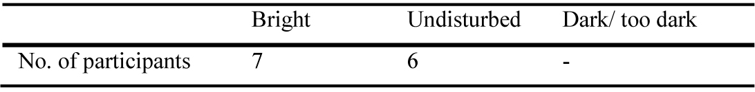 Results from questionnaire: responses to midday daylight quality. Majority of participants reported visual comfort during midday as ‘bright’. Participants working in the painting and detailing area were consistent to their responses in the morning as being ‘undisturbed’.