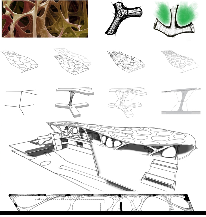 Parametric evolution of the structure to support the PBRs, from the initial idea (observation of bone tissues) to the final roof geometry.