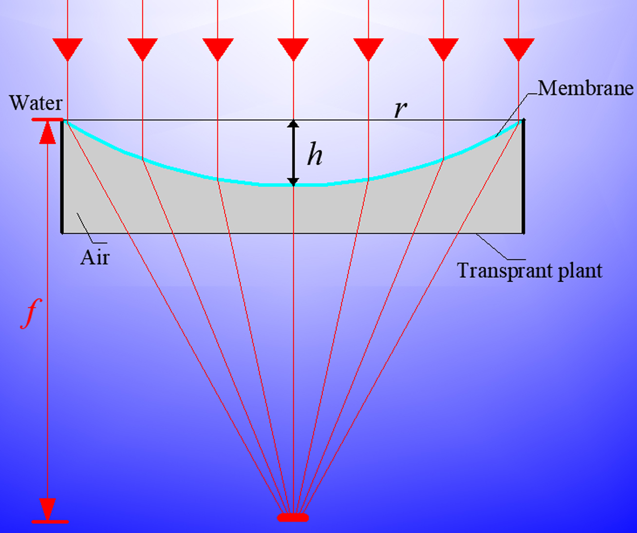 Schematic diagram showing concentrating principle of the concentrator.