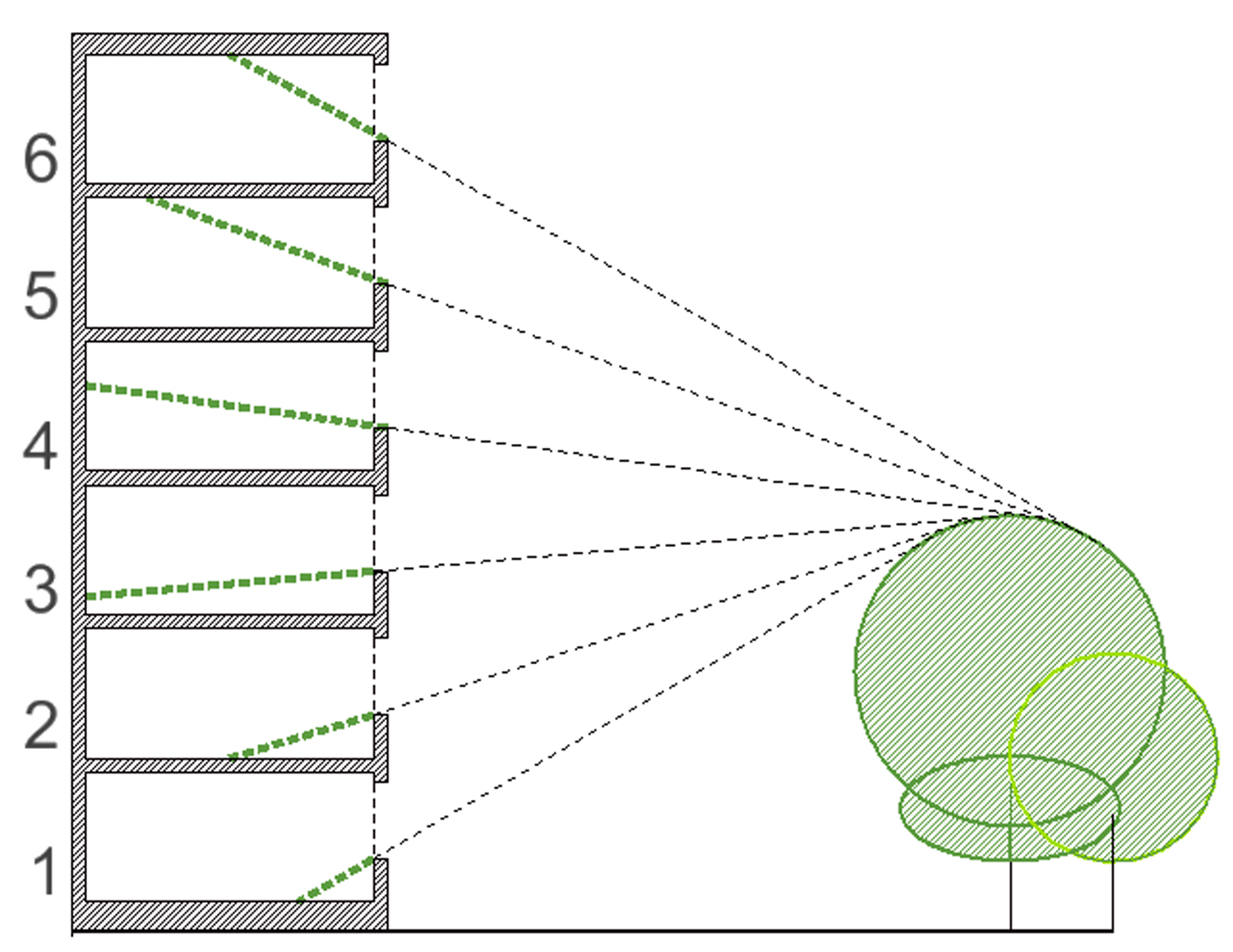 No-greenery line.