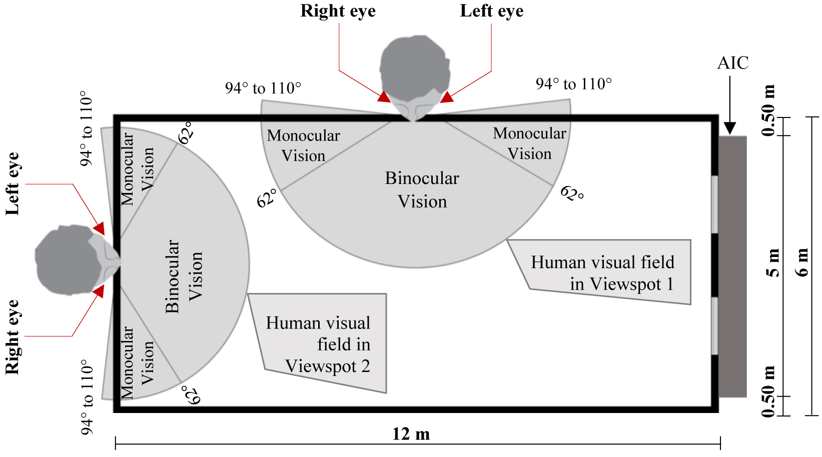 Human visual field in V1 and V2 in the 1:4 physical model equipped with the AIC.