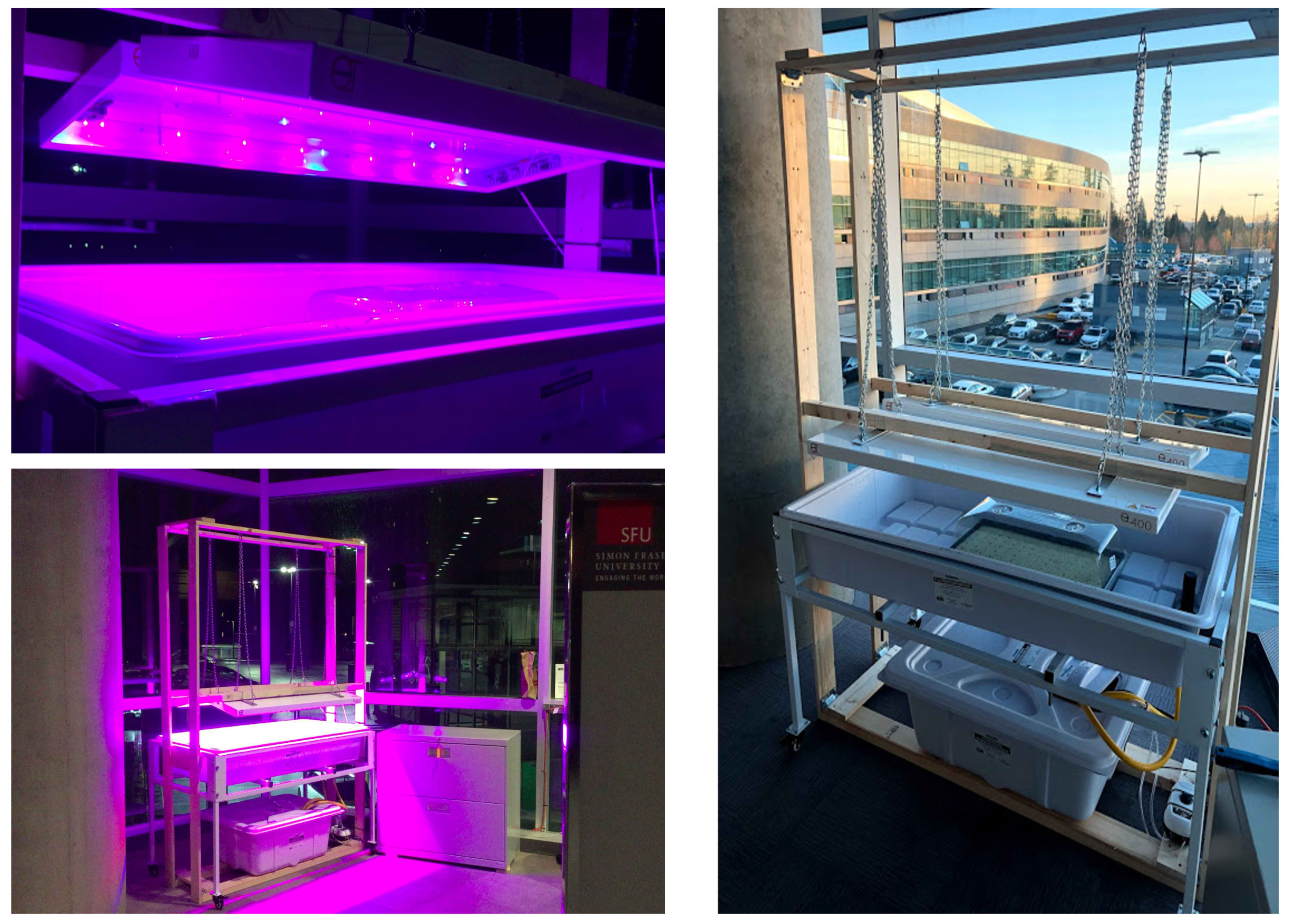 Plant growth prototype equipped with an intelligent lighting system.